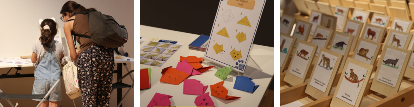 Exposition Miaou au Museum de Bordeaux