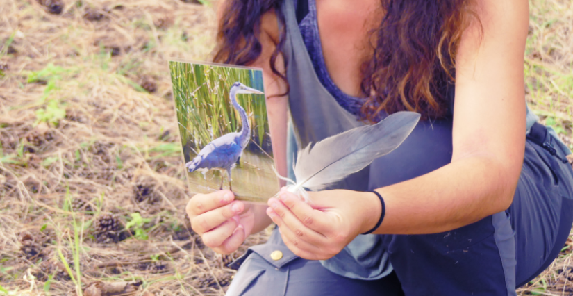Balade sensorielle à Terres d'Oiseaux