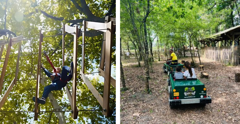 Tépacap Bordeaux Mérignac, l'aventure en pleine nature aux portes de Bordeaux