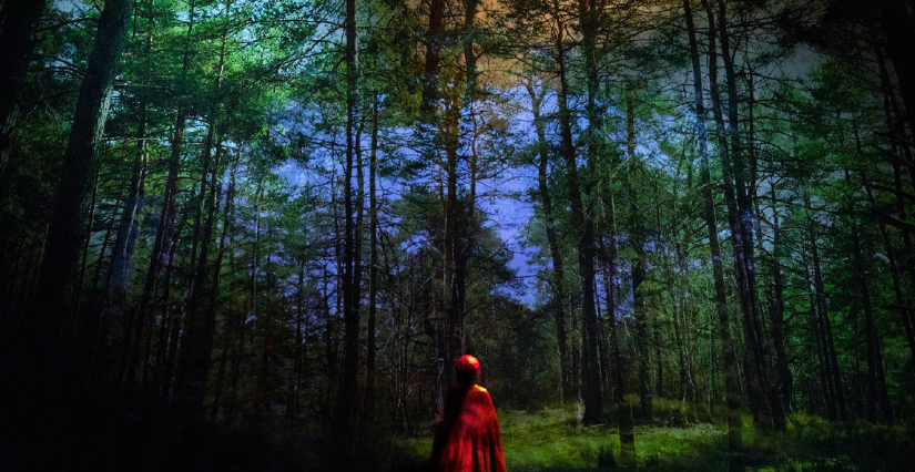 Spectacle "Le Petit Chaperon rouge" au Théâtre National Bordeaux Aquitaine