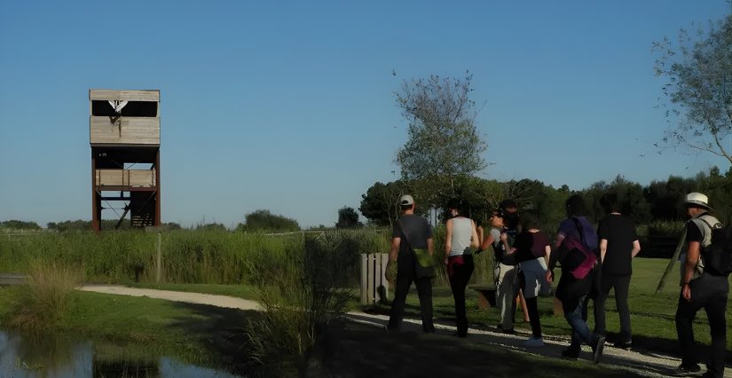 Nocturnes Chouette et Compagnie à Terres d'Oiseaux