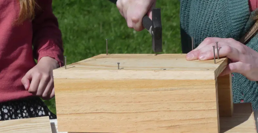 Construction d'un nichoir à Terres d'Oiseaux