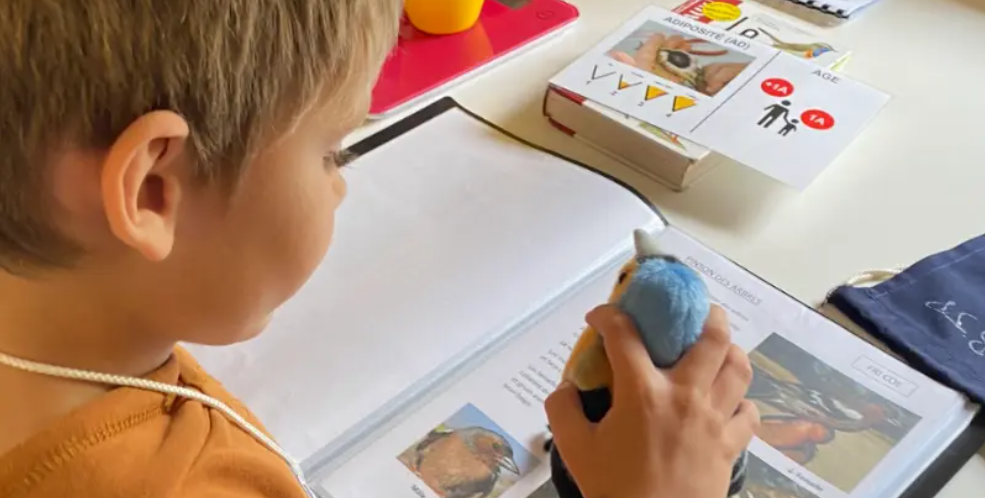 Atelier "Dans la peau d'un bagueur" à Terres d'Oiseaux