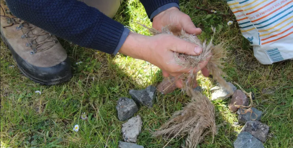 Animation "Petits Aventuriers" à Terres d'Oiseaux