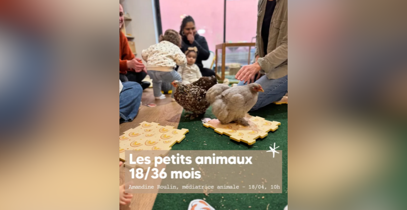 Atelier de médiation animale à la Grande Ourse de Libourne