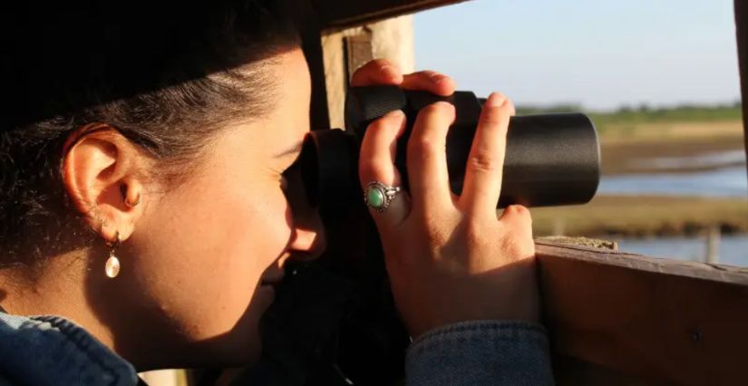 Sortie crépusculaire à Terres d'Oiseaux