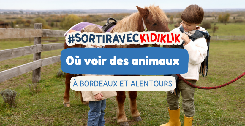 Le top des parcs animaliers et zoos en Gironde pour une sortie en famille