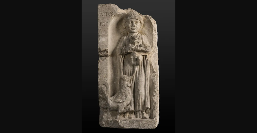 Visite commentée "Sur les traces des animaux" au Musée d'Aquitaine à Bordeaux