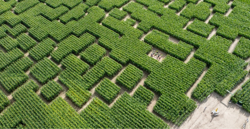 Pop Corn Labyrinthe, l'aventure grandeur nature à Parempuyre à deux pas de Bordeaux 