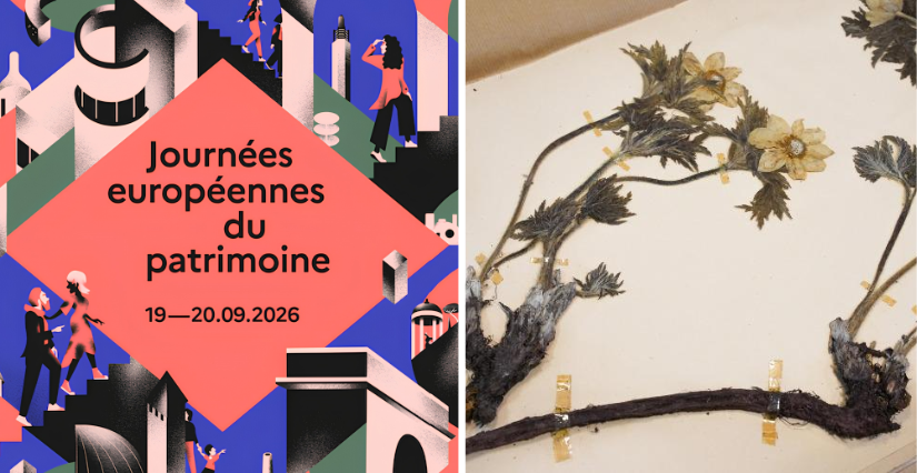 Journées du Patrimoine : Visite exclusive de l'herbarium du Jardin botanique de Bordeaux
