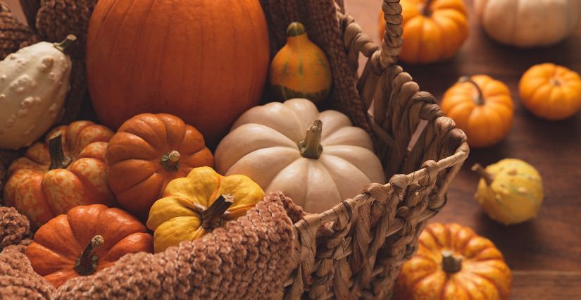 Les ateliers créatifs d'automne et d'Halloween au Domaine d'Ecoline à Sadirac