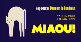 Exposition "Miaou" au Museum de Bordeaux