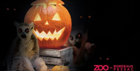 Nos idées pour fêter Halloween à Bordeaux et en Gironde avec les enfants ! | Kidiklik