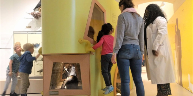 Atelier dessin pour enfant au Museum de Bordeaux