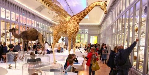 Musées gratuits & dimanche sans voiture à Bordeaux ! | Kidiklik