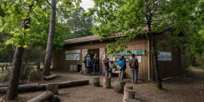 balade automne en famille, kidklik 33 gironde, toussaint, vacances scolaires