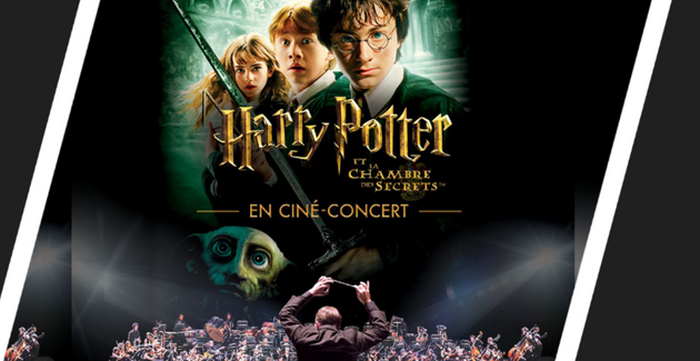 Harry Potter en ciné-concert, un spectacle familial à voir à Bordeaux ! kidklik 33