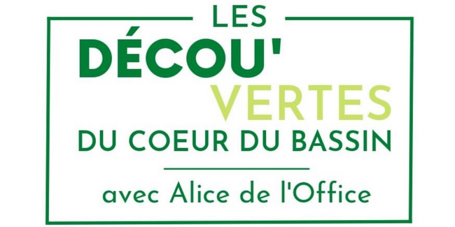Les Décou'Vertes du Coeur du Bassin, ateliers enfants avec Alice de l'Office du Bassin d'Arcachon kidklik 33 nature famille