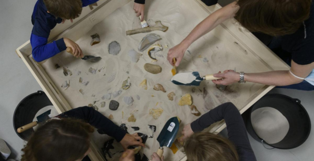 L'art préhistorique : atelier archéo pour les 10-13 ans au Musée d'Aquitaine, Bordeaux