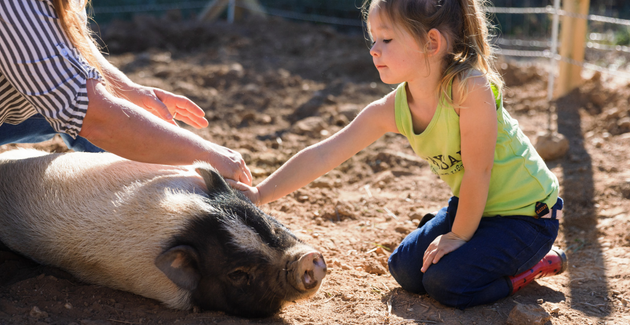 Partez en visite à la ferme en Gironde avec Bienvenue à la Ferme !