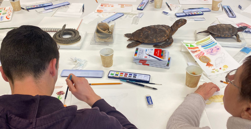 Atelier dessin pour enfant au Museum de Bordeaux