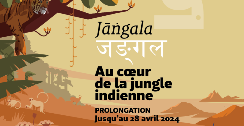 Jangala : exposition à voir en famille au Muséum d'Histoire Naturelle de Bordeaux