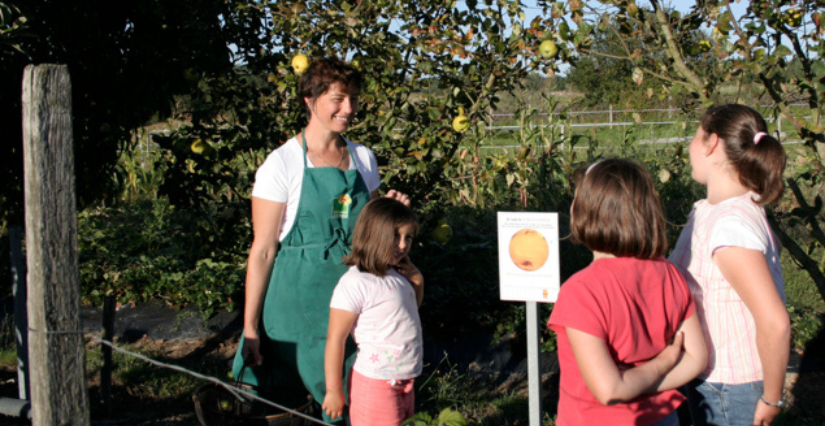 Domaine de Tout l'y faut : sortie à la ferme en famille au printemps