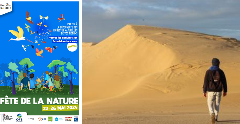 Fête de la Nature : balade commentée sur la dune du Pyla
