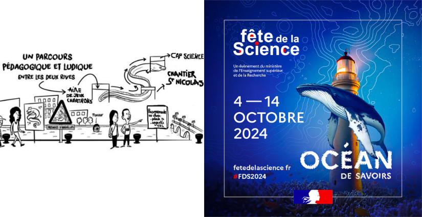 "Pibale, Anguille, où te caches-tu ?" Balades scientifiques à Bordeaux / Fête de la Science 2024
