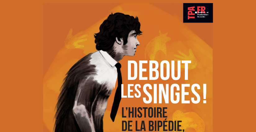 Spectacle tout public "Debout les singes !" au Museum de Bordeaux