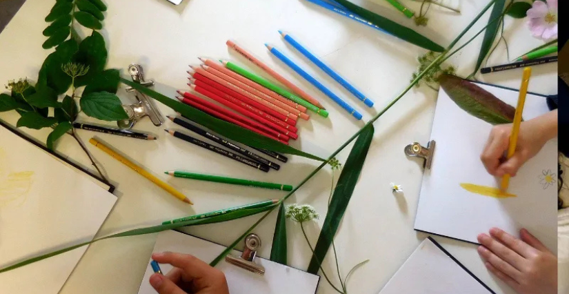 © Terres d'Oiseaux Atelier Initiation au dessin nature à Terres d'Oiseaux