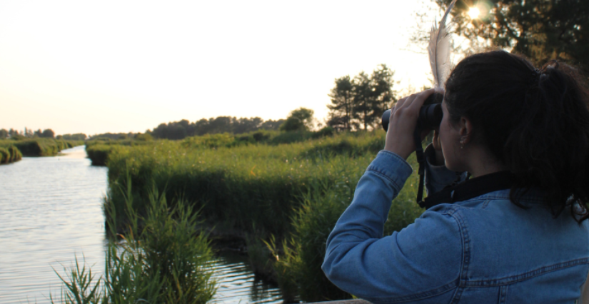 Apéro nature au crépuscule à Terres d'Oiseaux