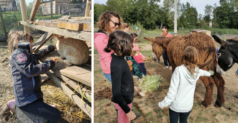Soin des animaux : atelier enfant à la ferme, pour les 3 ans et + au Domaine d'Écoline, Sadirac