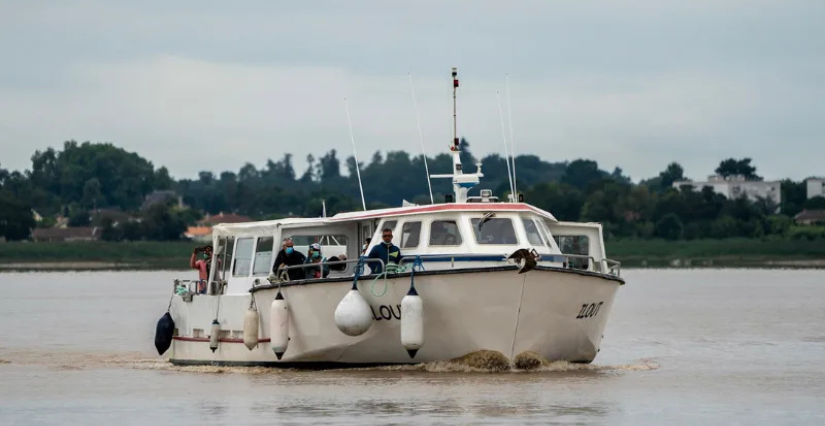 © Terres d'Oiseaux Croisière du dimanche sur l'estuaire à Terres d'Oiseaux