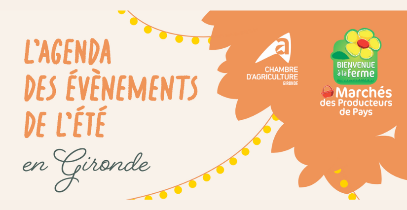Marché nocturne en Gironde - été 2025