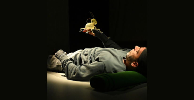 Spectacle "MINIMUS, Le bruit des ombres" au théâtre le Liburnia de Libourne