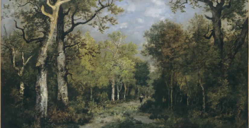 Atelier "Les couleurs : Vert" au Musée des Beaux-Arts de Bordeaux