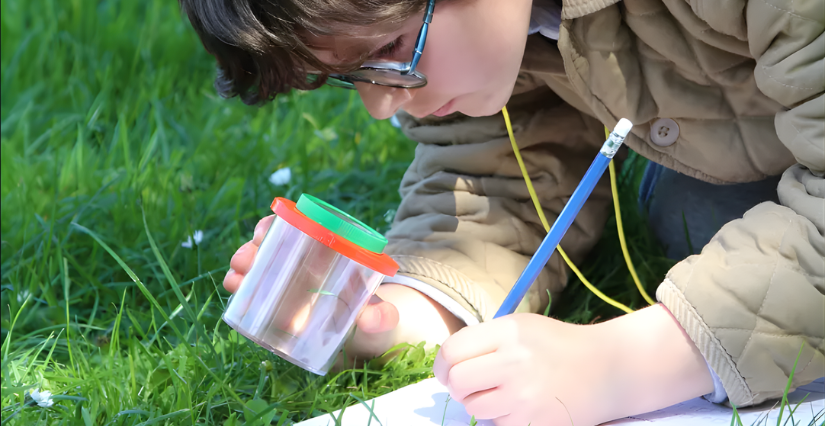 Animation "Enquête au marais" à Terres d'Oiseaux