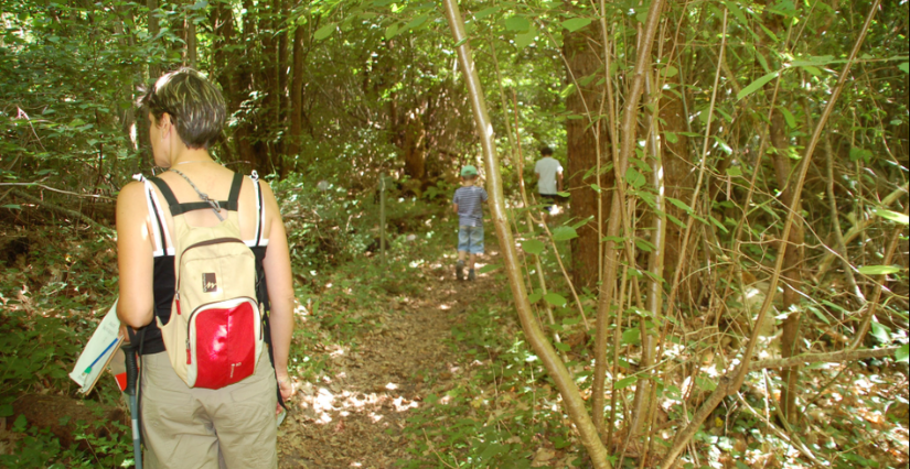 Animation nature "Les ateliers de la forêt" à la Réserve Naturelle Géologique de Saucats - La Brede