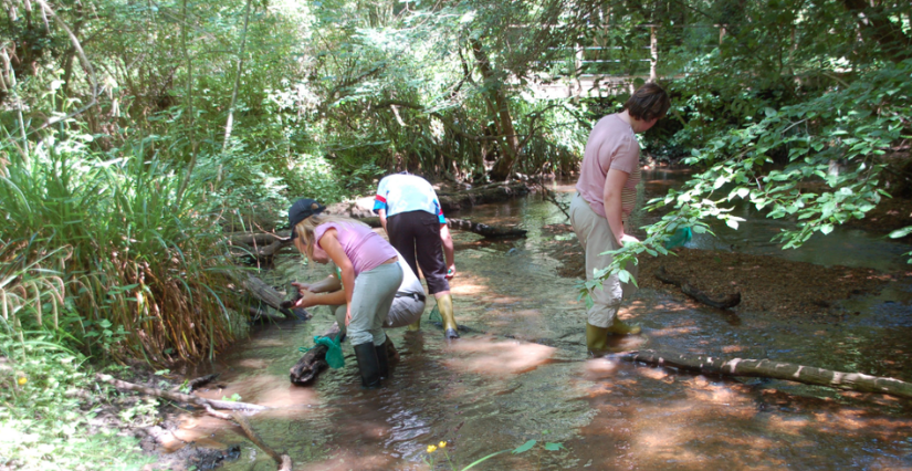 Animation nature "Anim'eau" à la Réserve Naturelle Géologique de Saucats - La Brede