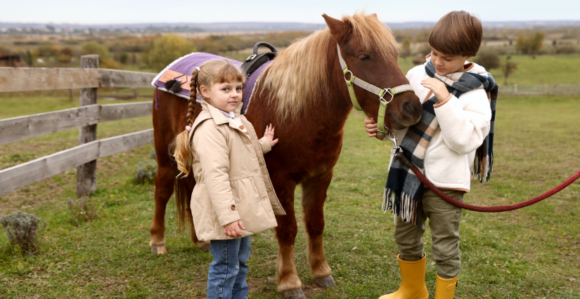 Stage « découverte des poneys » au Domaine d'Ecoline à Sadirac