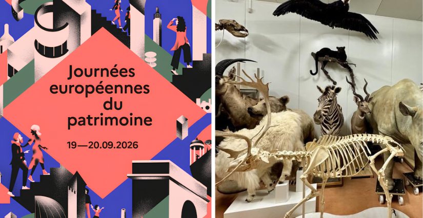 Les Journées européennes du patrimoine au centre de conservation des collections du Muséum de Bordeaux