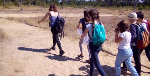 enquête aods, enfants, vacances de la toussaint kidklik 33 gironde