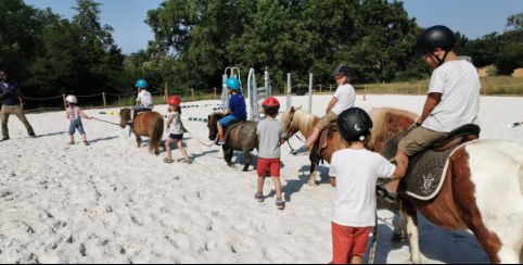 Atelier poney : initiation ludique pour enfants dès 2 ans au Domaine d'Écoline à Sadirac