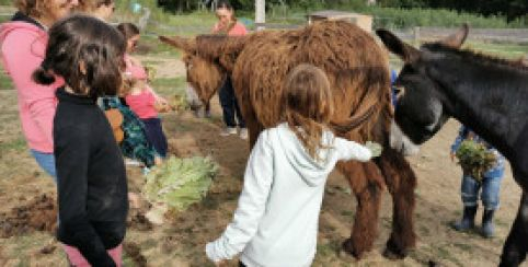 Soin des animaux : atelier enfant à la ferme, pour les 3 ans et +