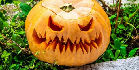 Halloween à la ferme de l'Aliment : ramassage de citrouilles, atelier création de Lanternes et goûter fermier à Floudès