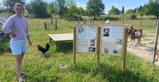 Ecolympe : ferme agricole et thérapeutique et élevage de poneys à Baurech