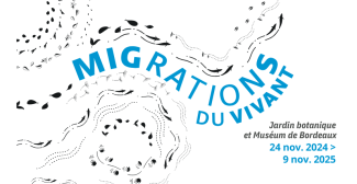 La nouvelle expo du Muséum de Bordeaux "Migrations du vivant"