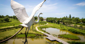 Terres d'Oiseaux : sortie nature en famille à Braud et Saint-Louis