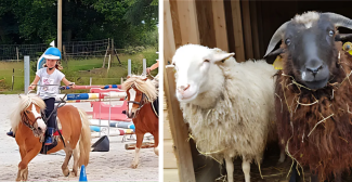 Le Domaine d'Écoline à Sadirac : une ferme pédagogique à visiter en famille